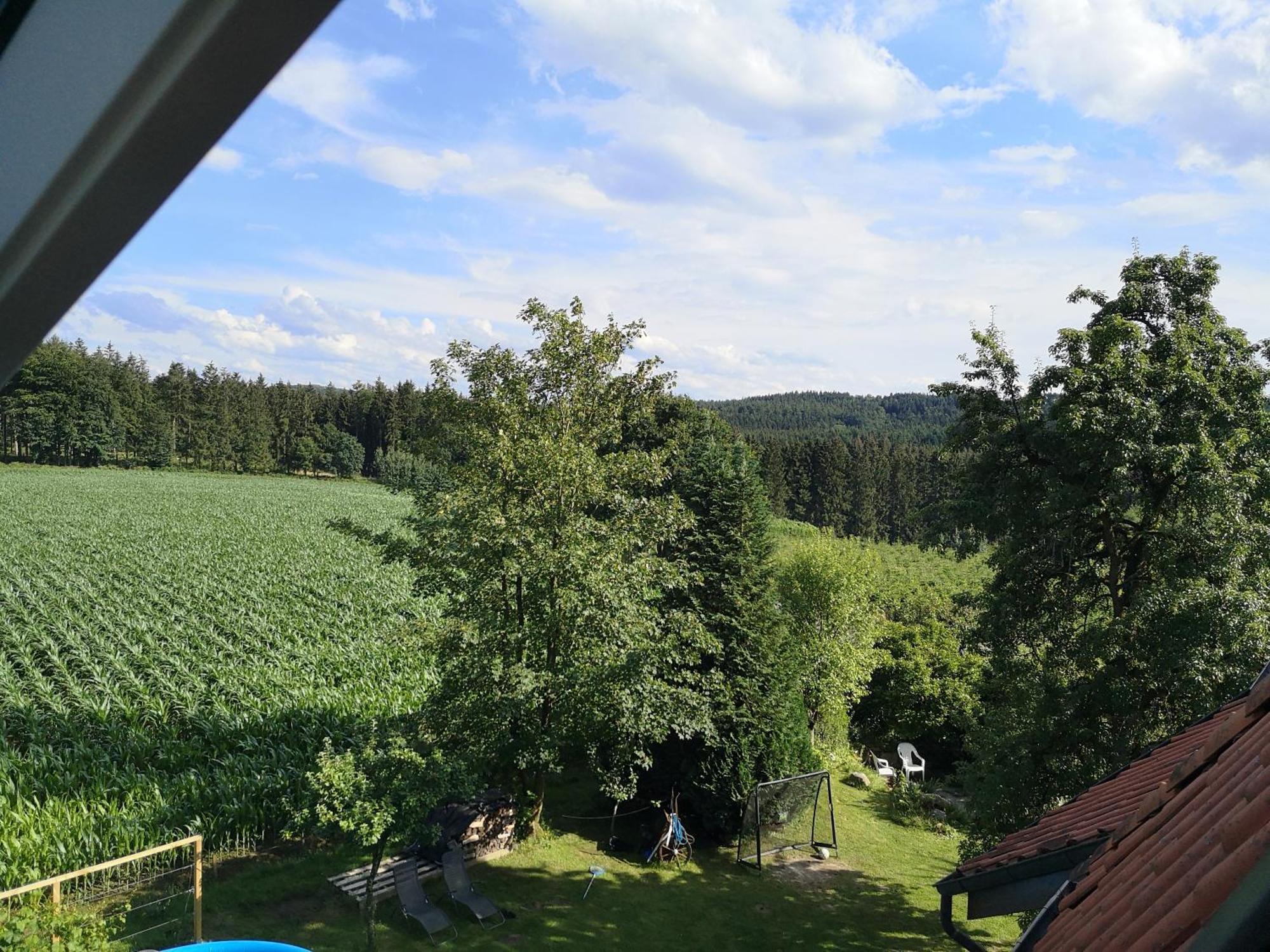 Appartement Gruene Oase Im Teutoburger Wald à Georgsmarienhütte Extérieur photo